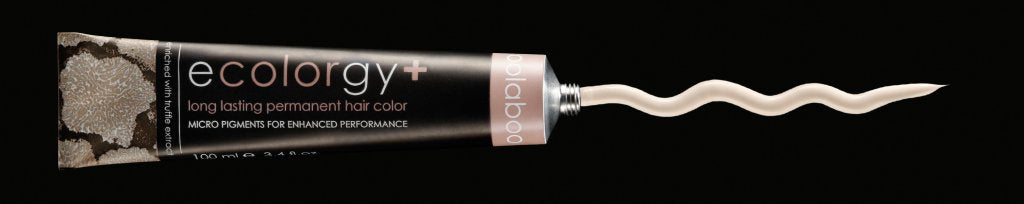 Ecolorgy+ 4.62/RV rot violett braun