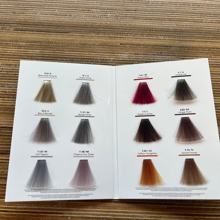 Ecolorgy Gloss color chart / 12 swatches