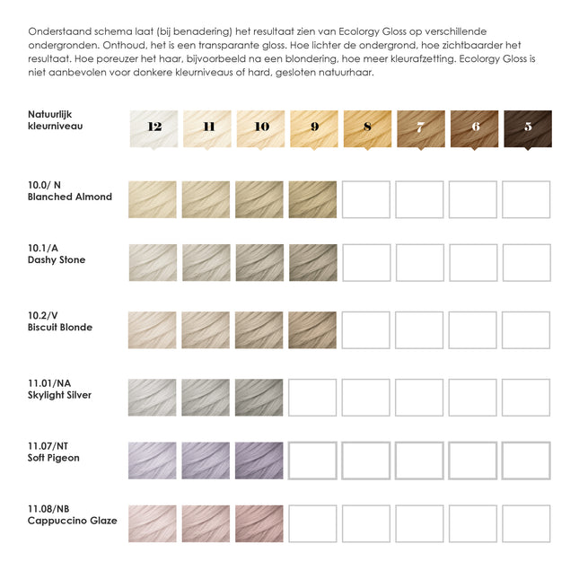 Ecolorgy Gloss Cappuccino Glaze  1.08/NB  100 ml